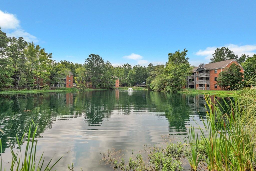 the view of the lake at the flats at walnut creek apartments